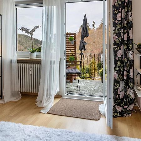 Ferienappartement Sonnenhof Triberg im Schwarzwald Exteriér fotografie
