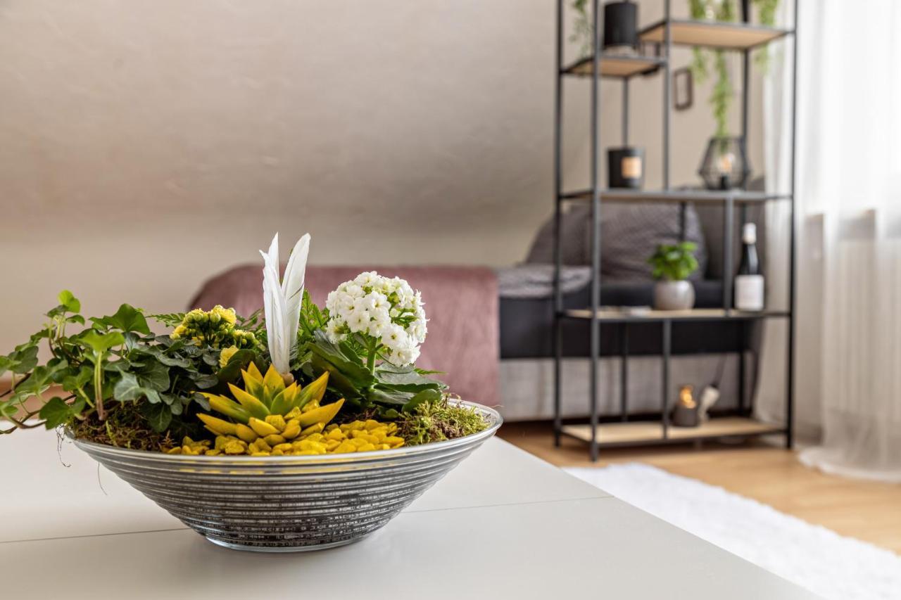 Ferienappartement Sonnenhof Triberg im Schwarzwald Exteriér fotografie