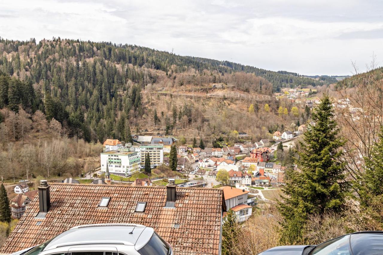 Ferienappartement Sonnenhof Triberg im Schwarzwald Exteriér fotografie