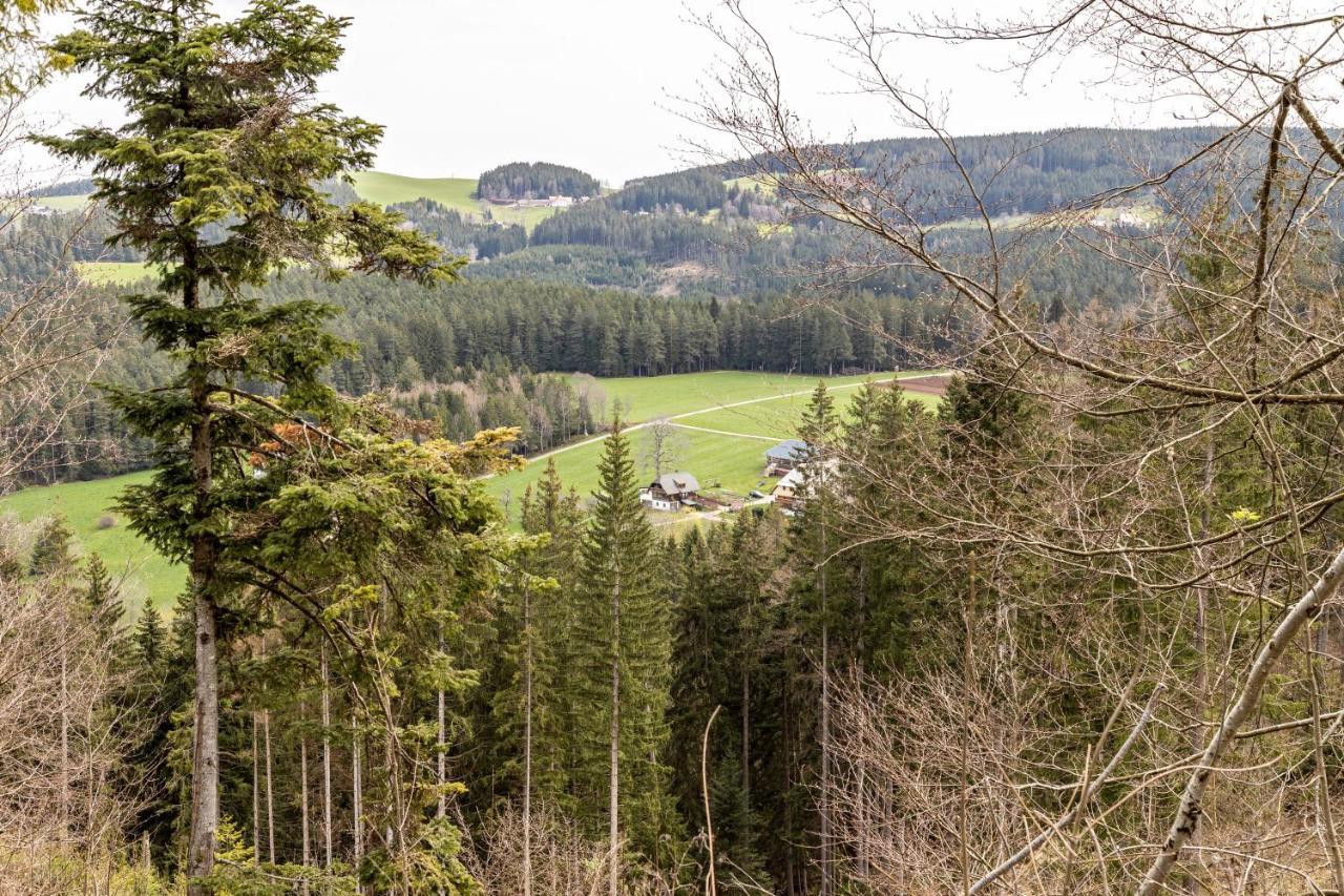 Ferienappartement Sonnenhof Triberg im Schwarzwald Exteriér fotografie